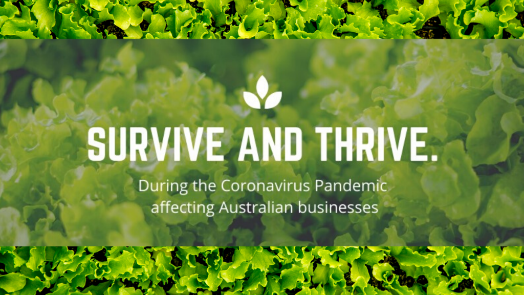 coronavirus employer support