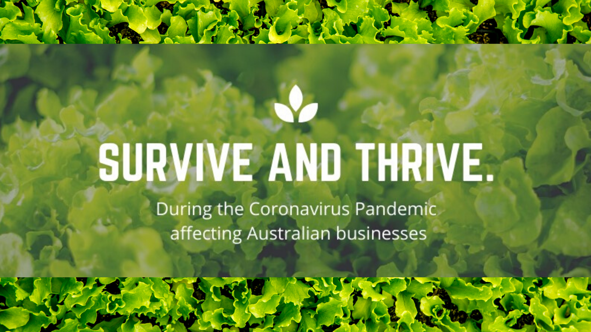 coronavirus employer support